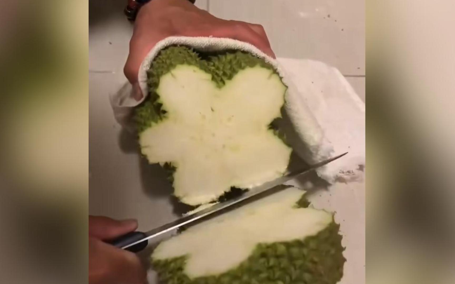 完了，今天的功德又笑没了...