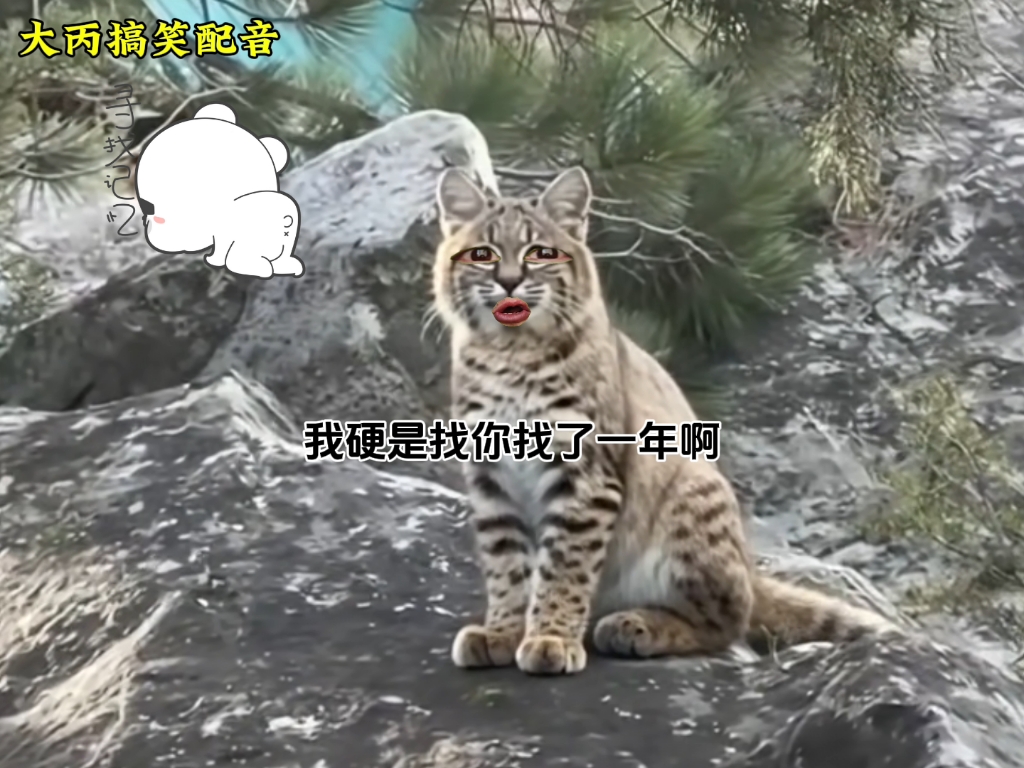 猞猁：公若不弃！我愿拜为...
