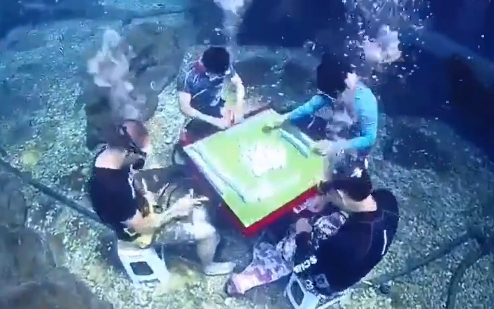 夏天降暑迷惑行为大赏！