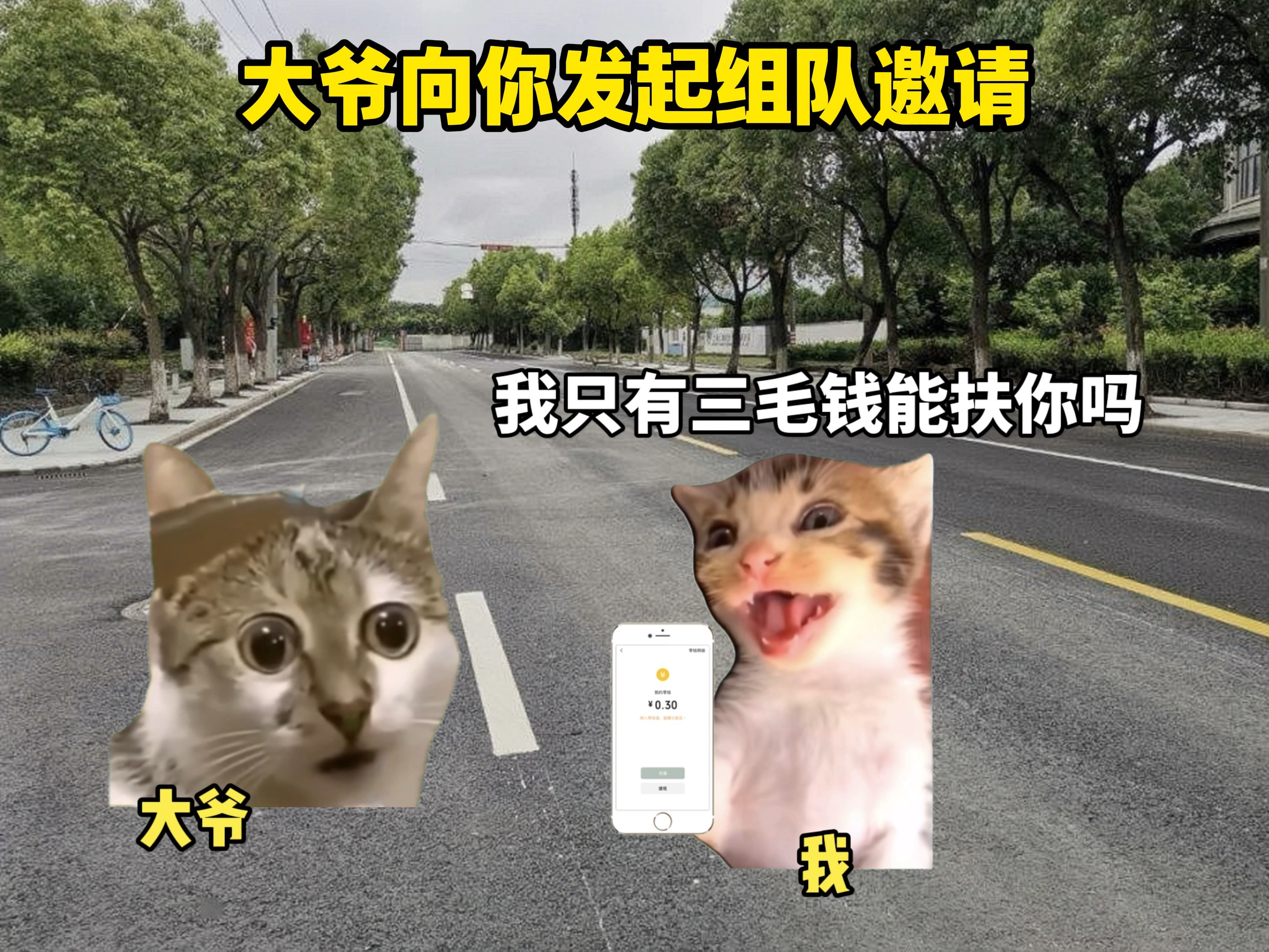 大爷向你发起了组队邀请