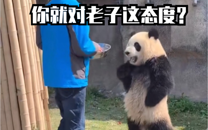 可 把 我 NB 坏 了