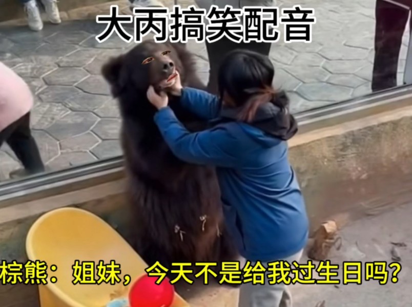 棕熊：姐妹，今天不是给我...