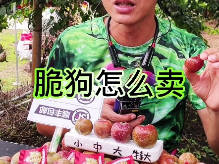 脆狗怎么卖