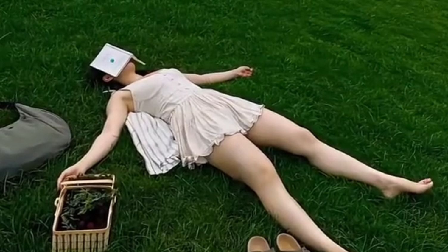 我要被这群人笑死了哈哈哈...