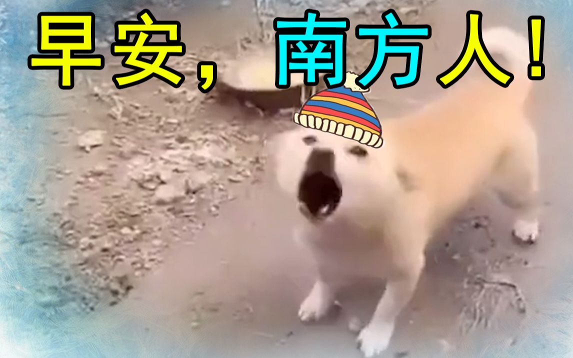 早安，南方人！（过 冬 ...