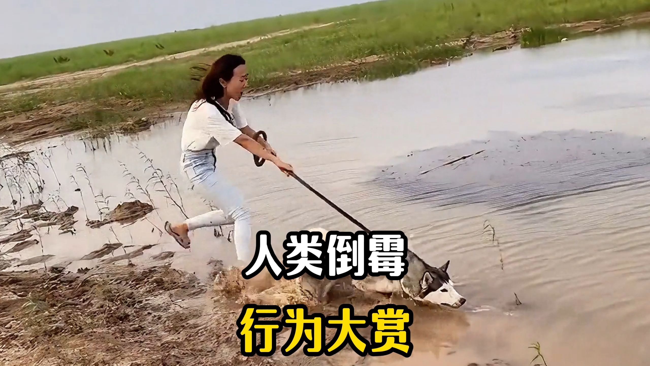 每日一遍，烦恼再见！盘点...