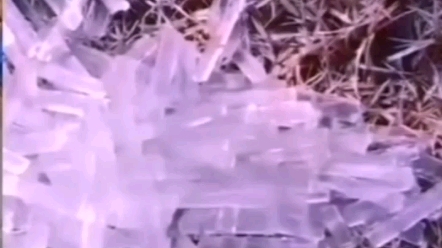 搞笑视频
