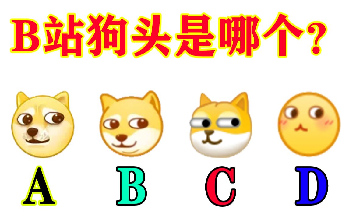 B 站 入 站 考 试