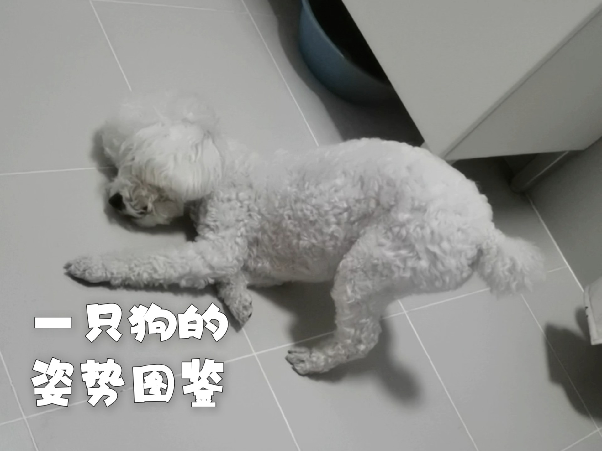 给听众朋友们分享一下我家...