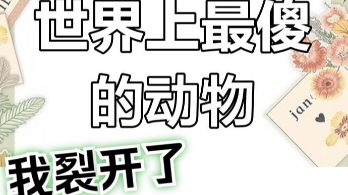 你是不是傻？——喜欢对线...
