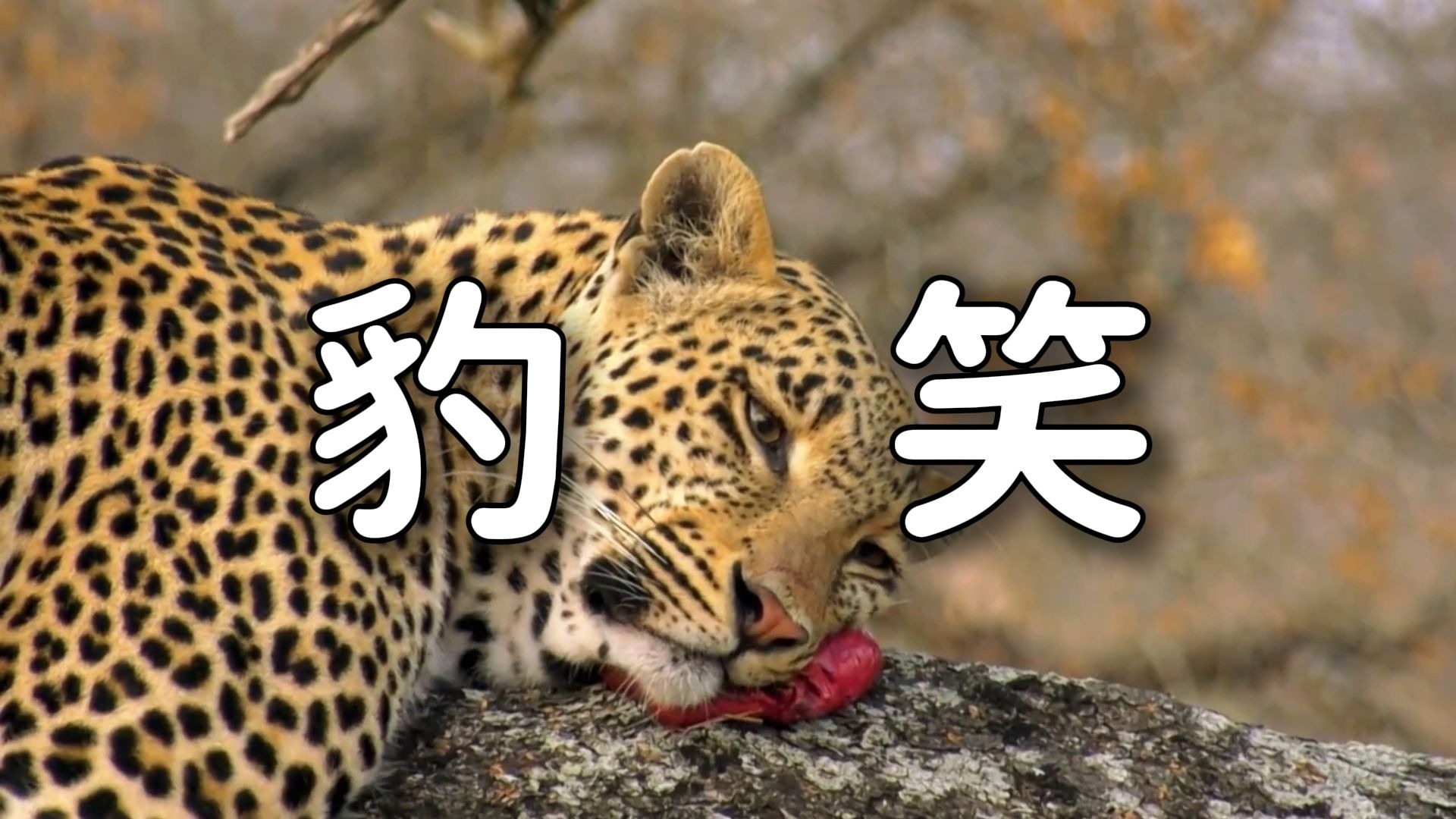 耗时两年半，打造属于00...