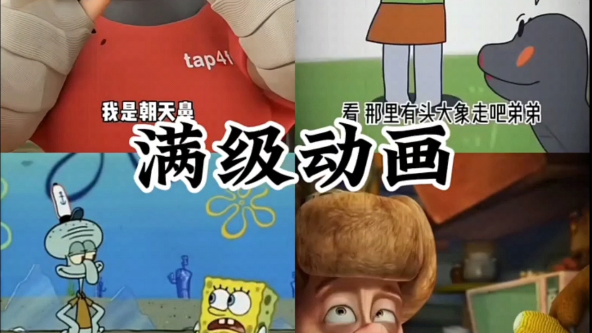 满级动画