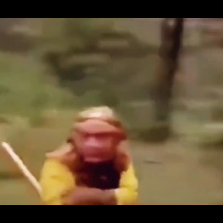 花 果 山 电 报 猿
