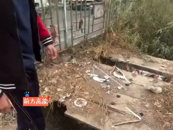 搞笑视频