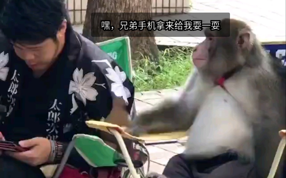 神他么还连上了