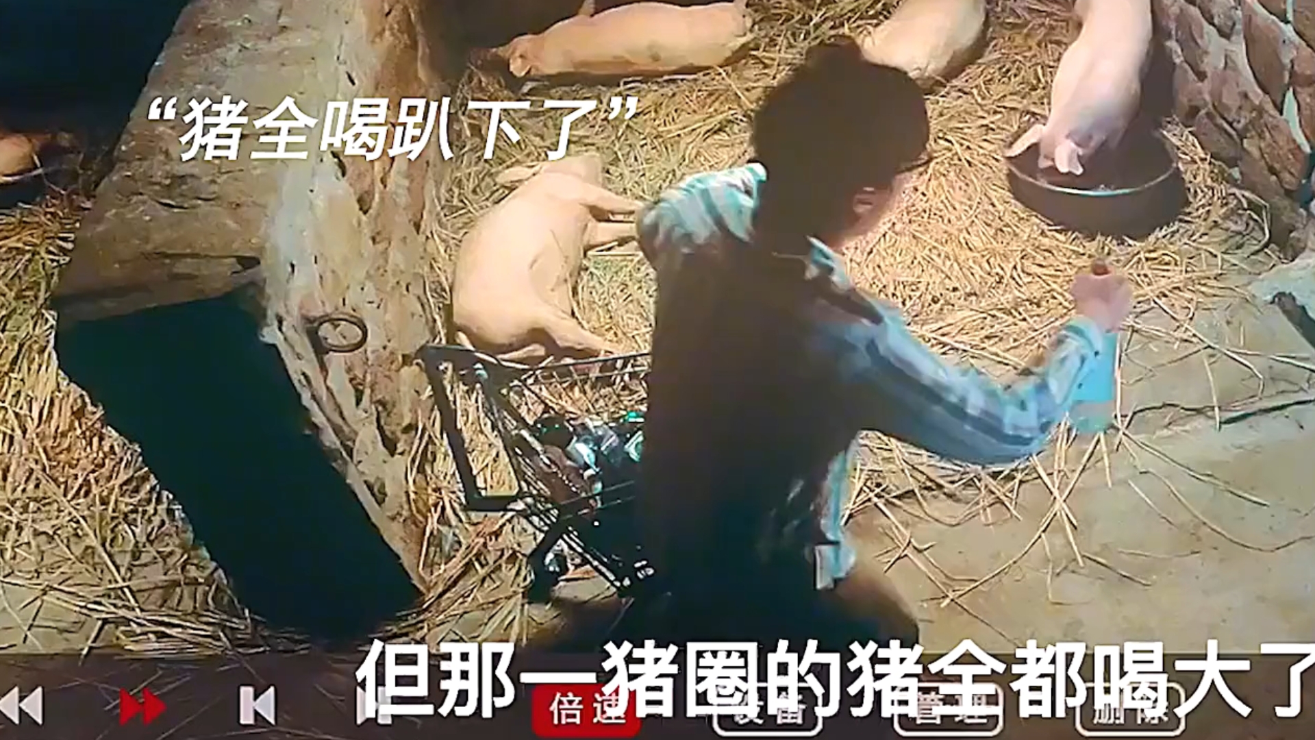 盘点搞笑视频，简直承包一...