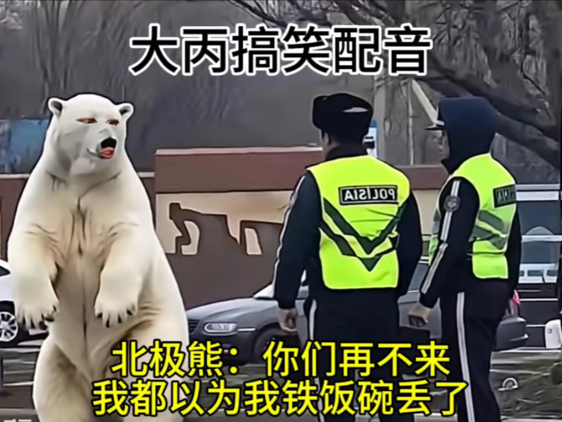 北极熊：你们再不来，我都...