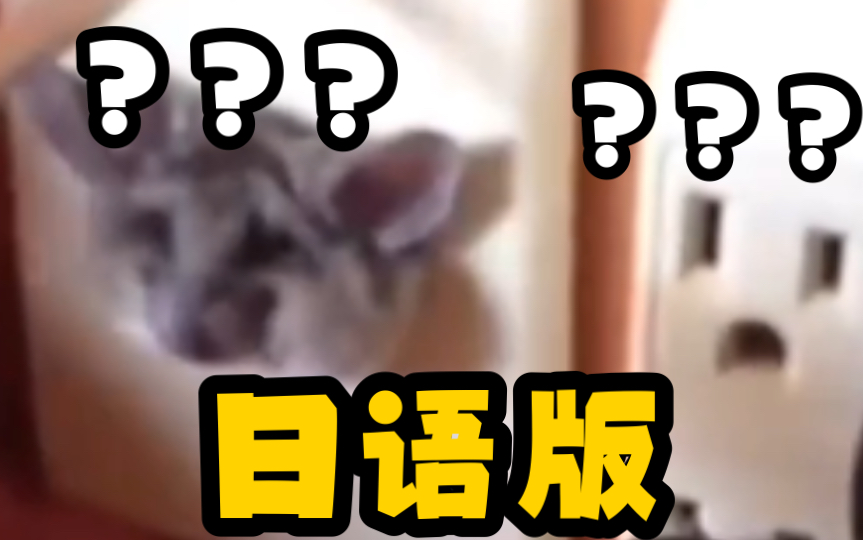 《 奇 怪 的 鼠 鼠 ...