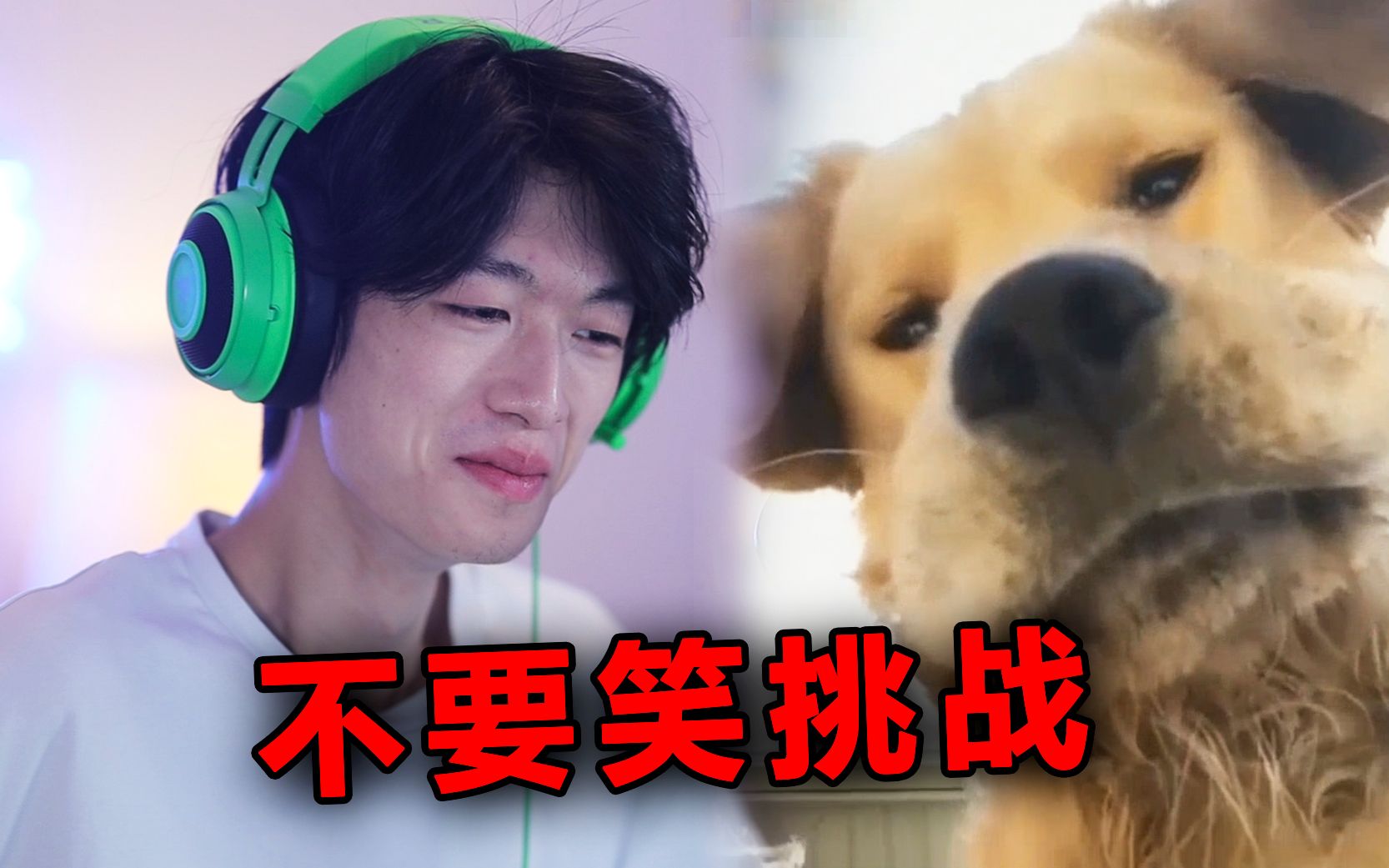 不 要 笑 挑 战 ！【...