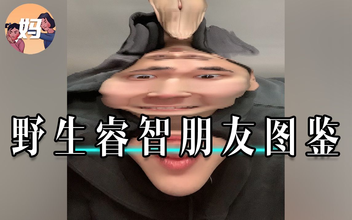 【野生人类图鉴】我与我的...