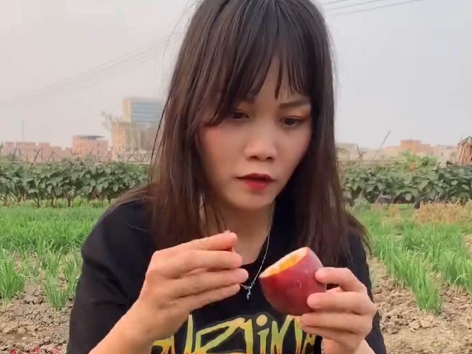 爆笑视频在线观看，笑到肚...