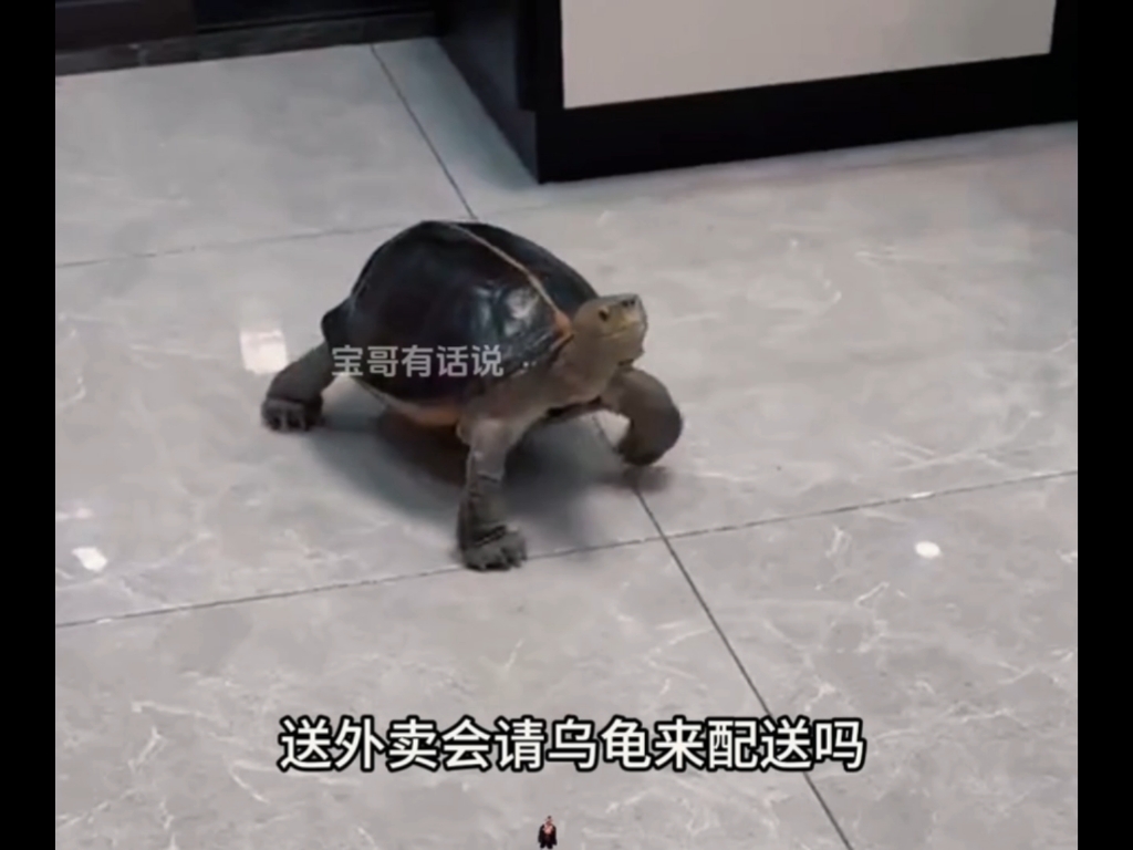 【每天搬砖的人】视频加载...