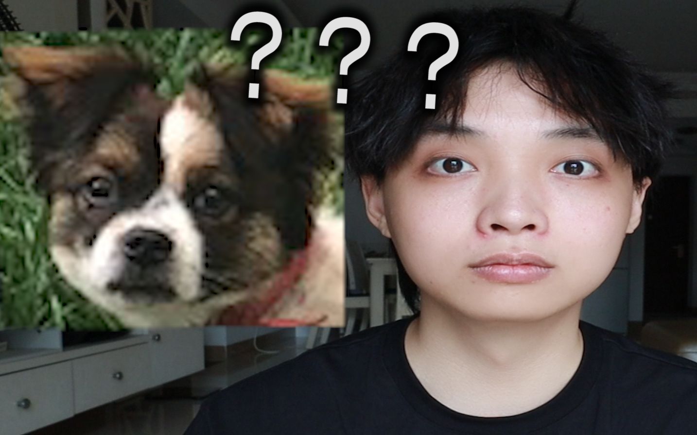 我     是     ...