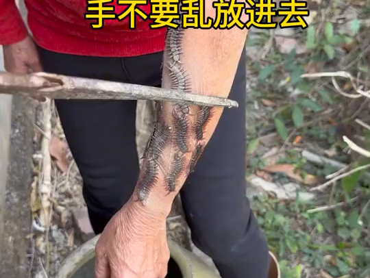 【王佳ld80】最新视频...