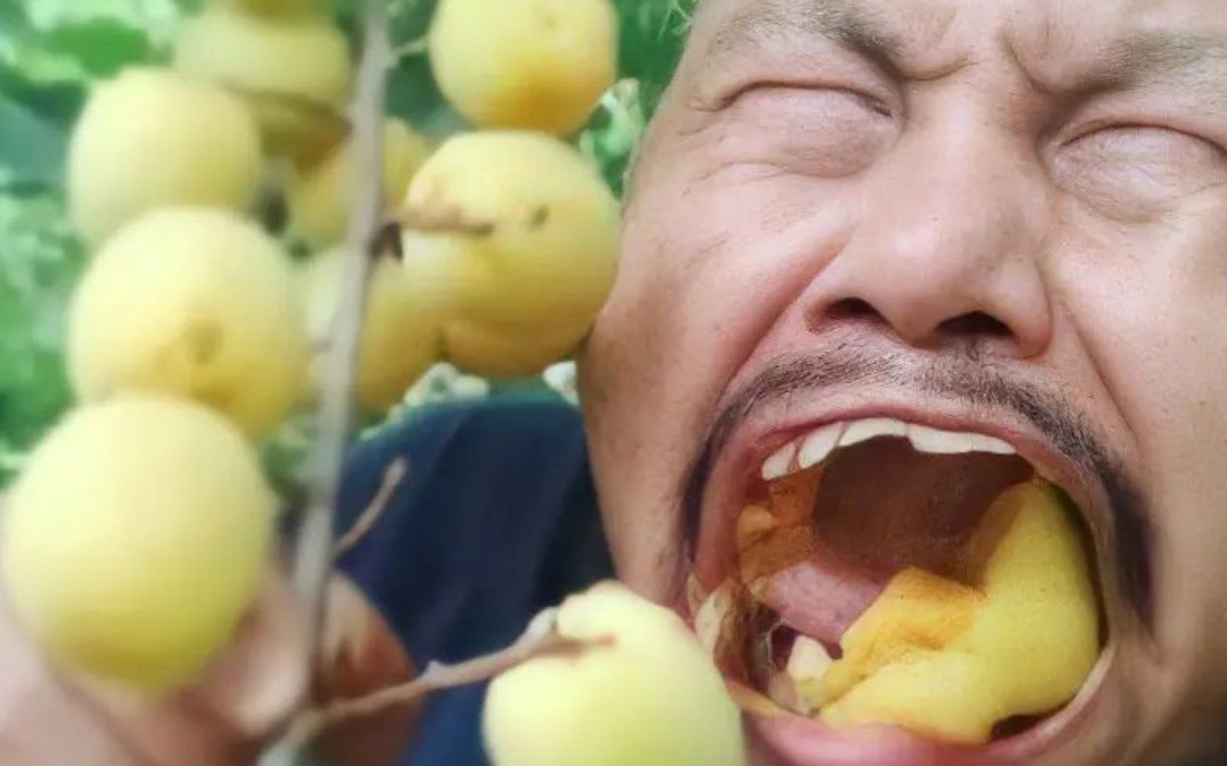 这TM才叫做带货鬼才