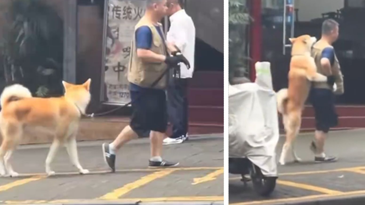 完了，我要被这视频笑死了...
