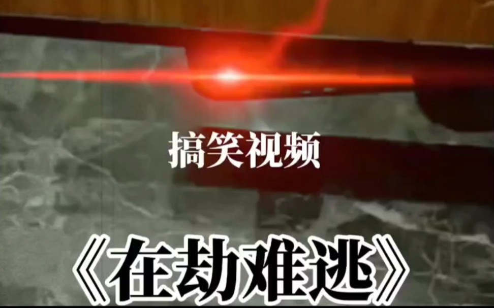 盘点那些满级搞笑视频