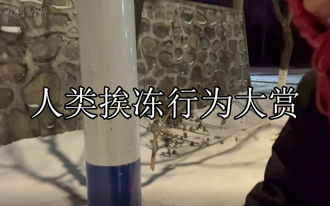 人类挨冻行为大赏：这个冬...