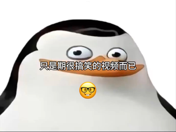 只是期很搞笑的视频而已
