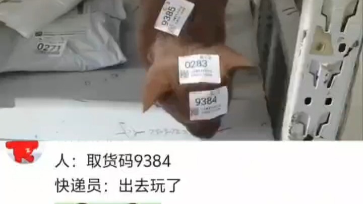 #搞笑视频 #网友神评