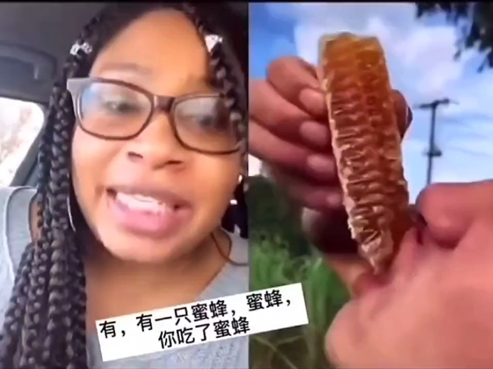 我太爱吃蜂巢了
