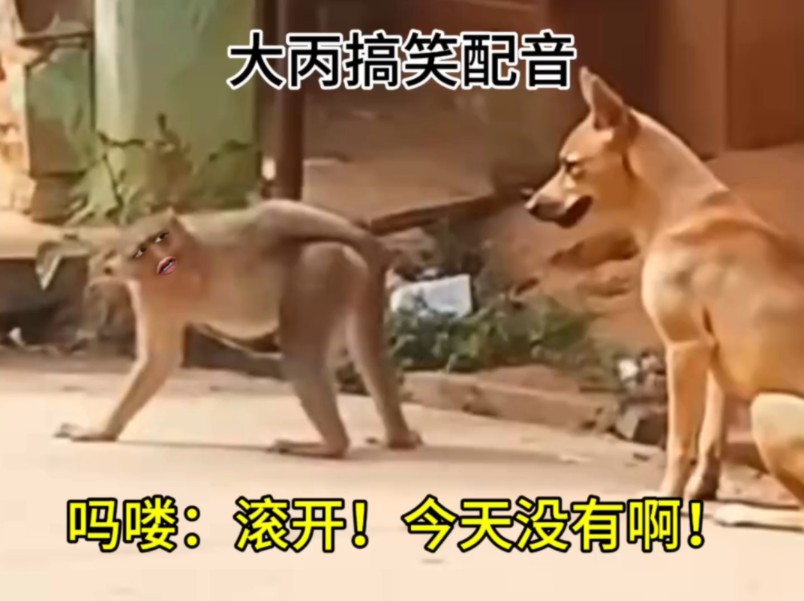 吗喽：滚开！今天没有啊！