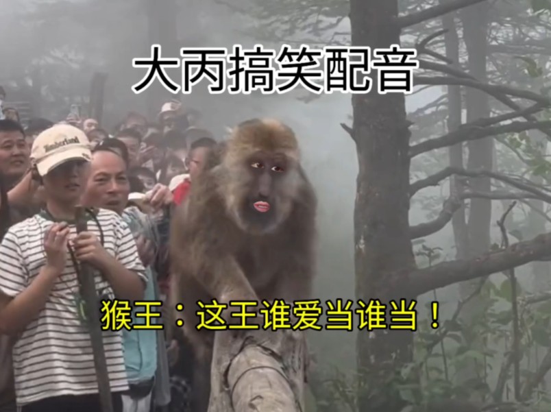 猴王：这王谁爱当谁当！