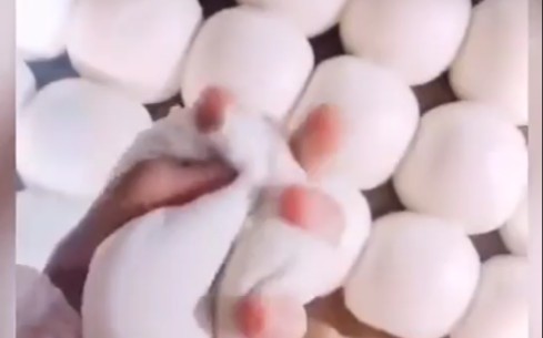 除了学校的我懂，其他的什...