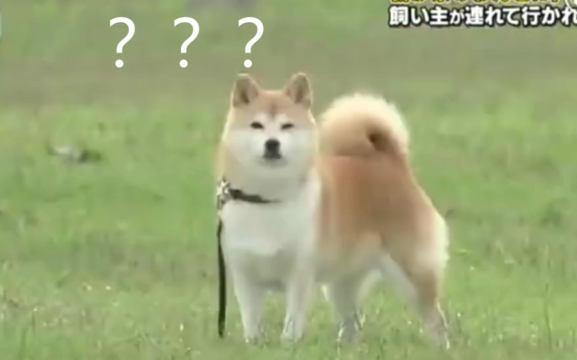 人类迷惑行为大赏