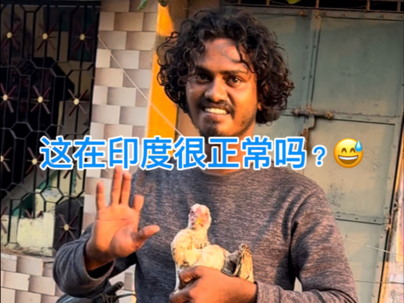 印度人没有限制