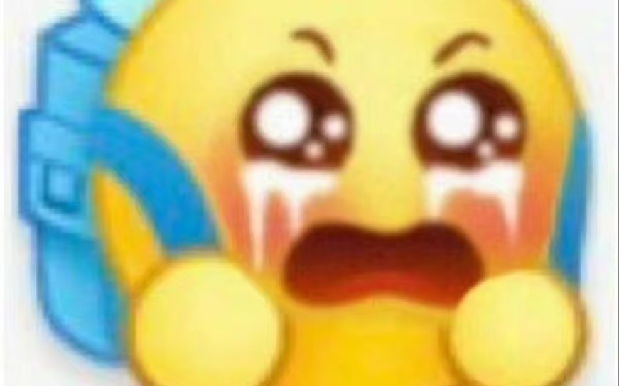 [佛山向阳而生react...
