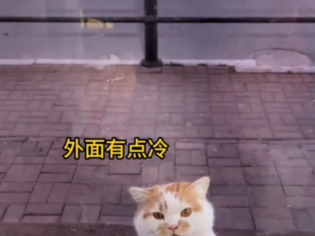【每天搬砖的人】更新了一...