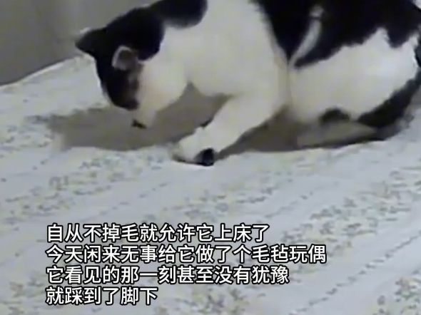 老母亲真的很伤心！