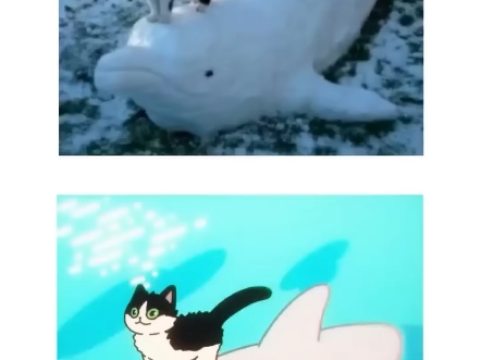 咪基萌