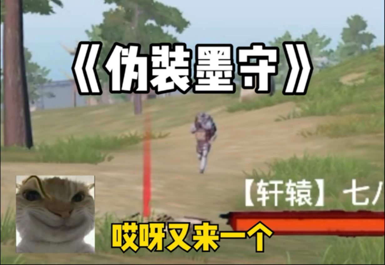 《伪装墨守》