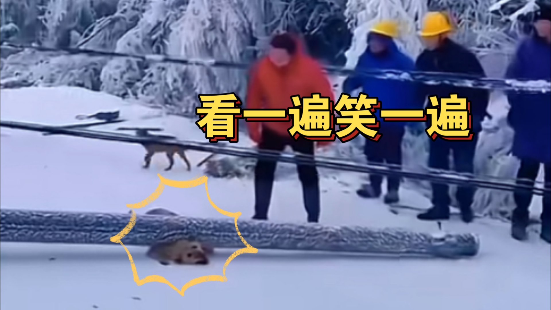 看完已笑晕在厕所`嚯哈哈...