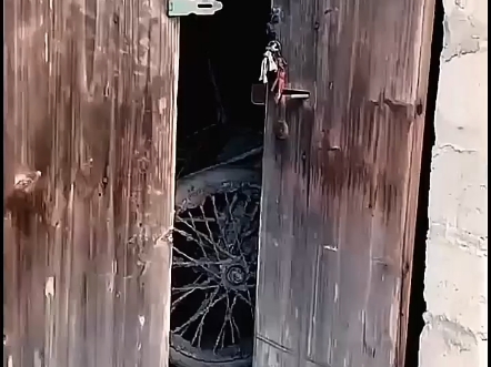 搞笑视频