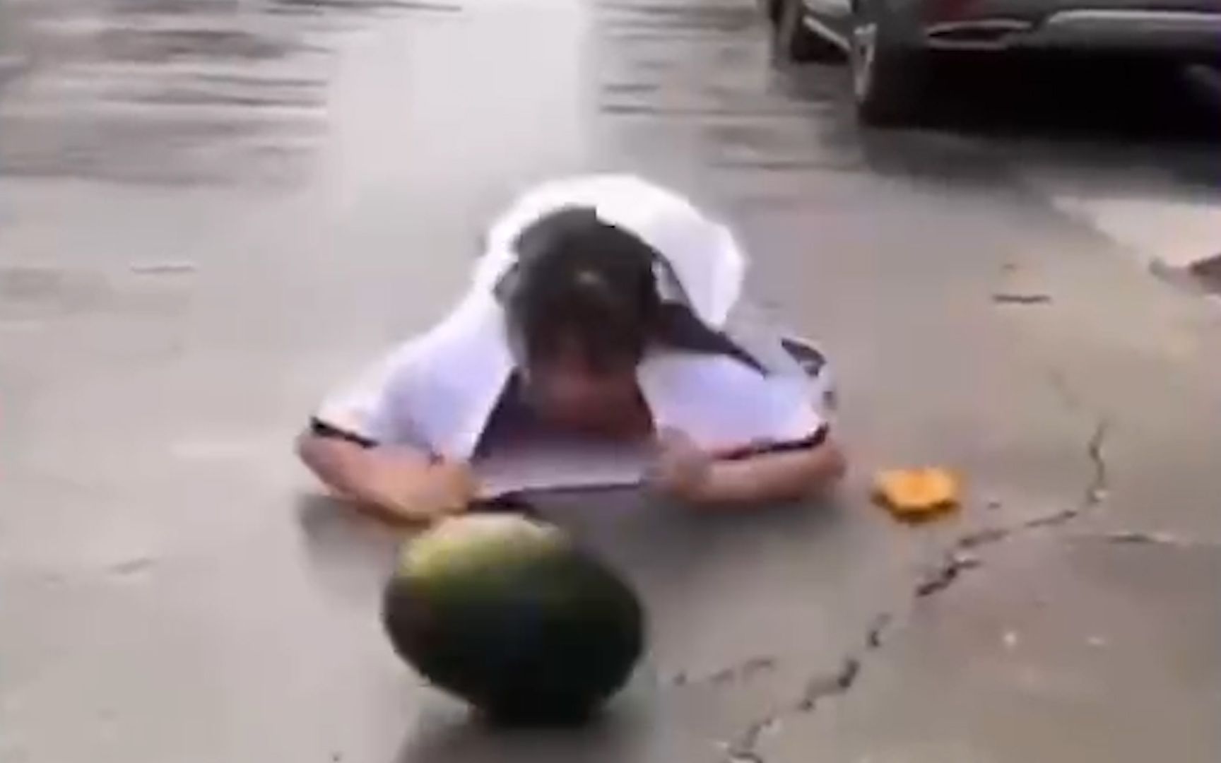 人类智商天花板！！！
