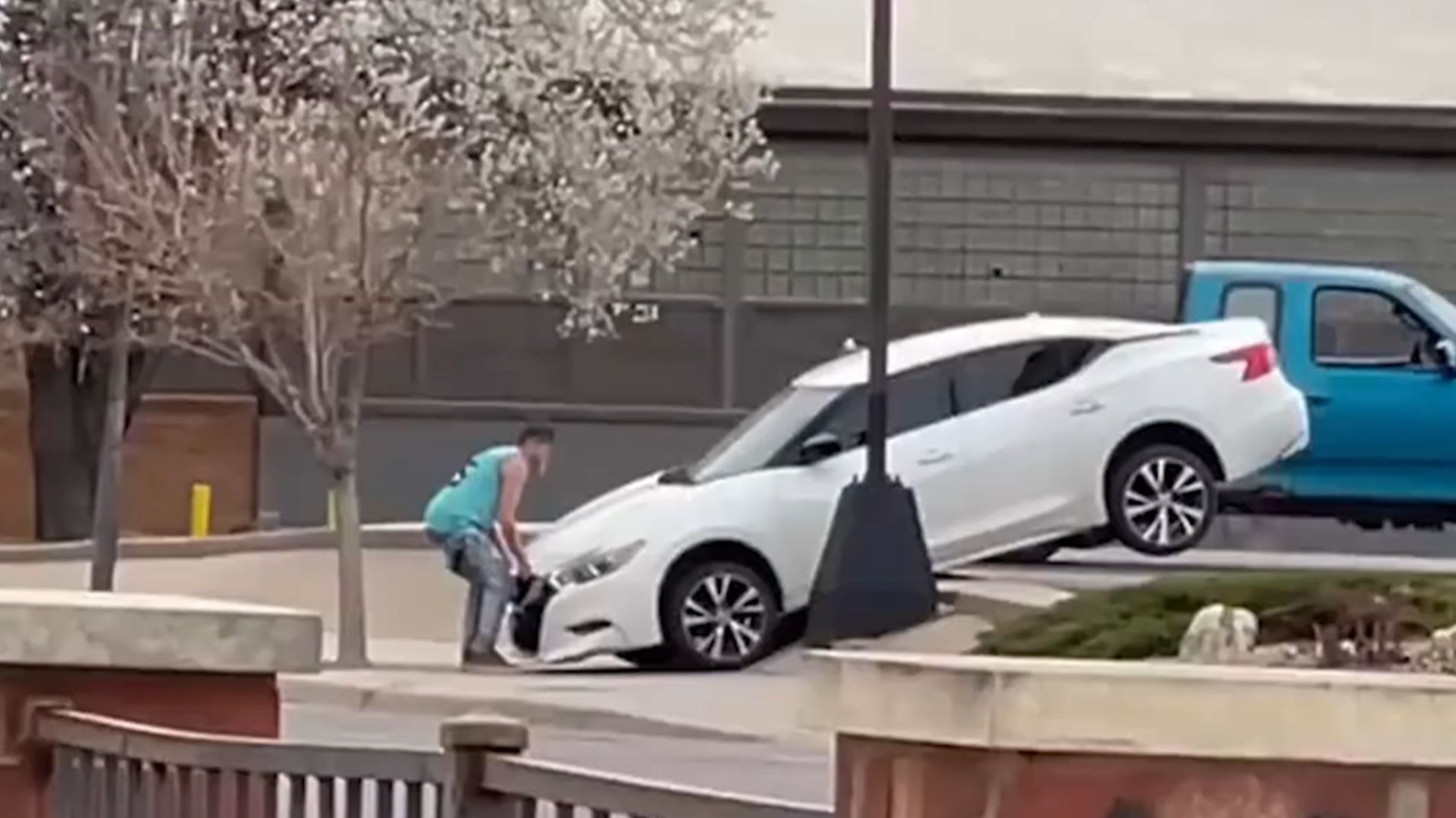 完了，我要被这视频笑死了...