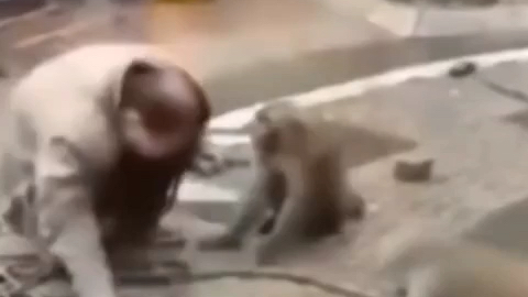 名场面合集